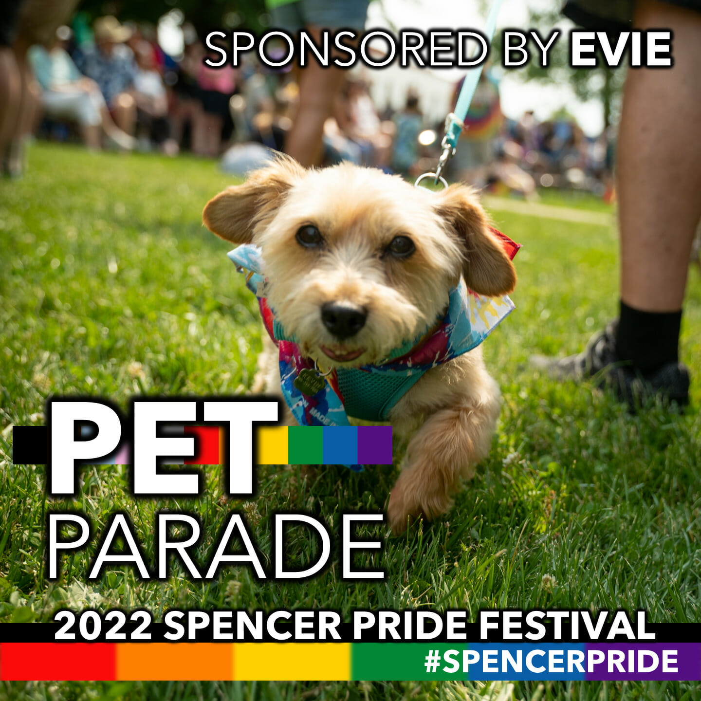 Spencer Pride Festival Pet Parade Sponsor Evie Spencer Pride